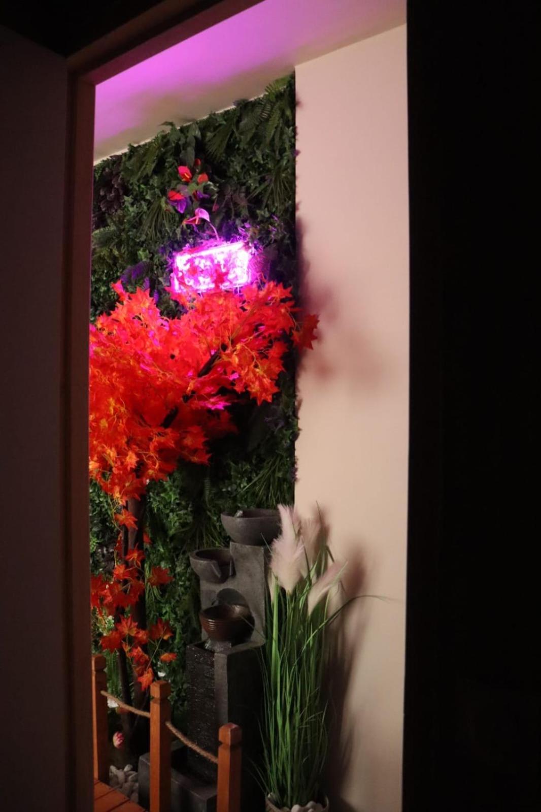 Loveroom Japon Avec Balneotherapie ตูลง ภายนอก รูปภาพ